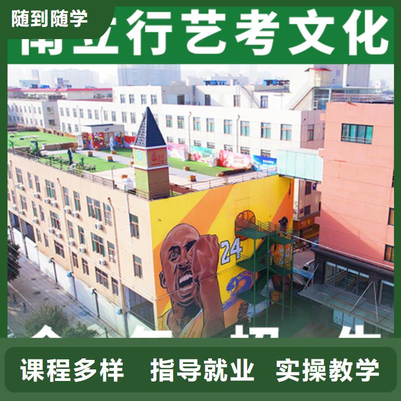 艺术生文化课培训机构艺考文化课百日冲刺班老师专业