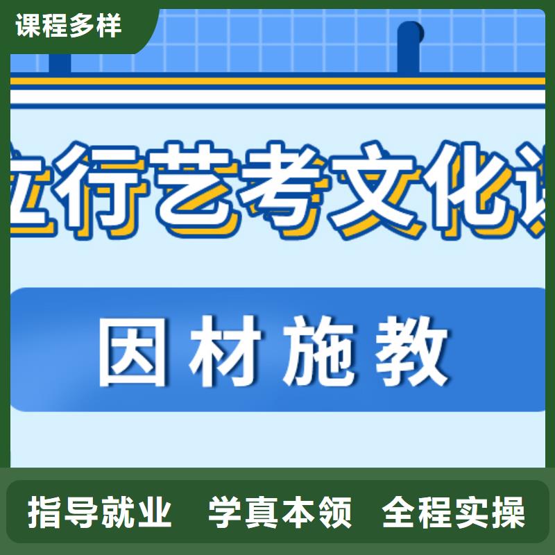 艺考生文化课补习学校有哪些定制专属课程