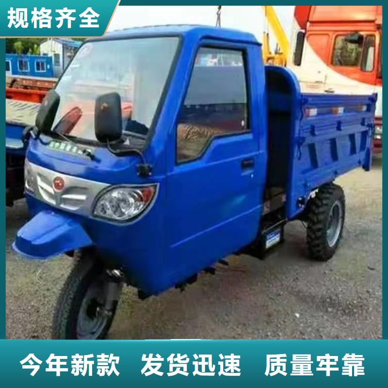 价格合理的（瑞迪通）农用三轮车供货商