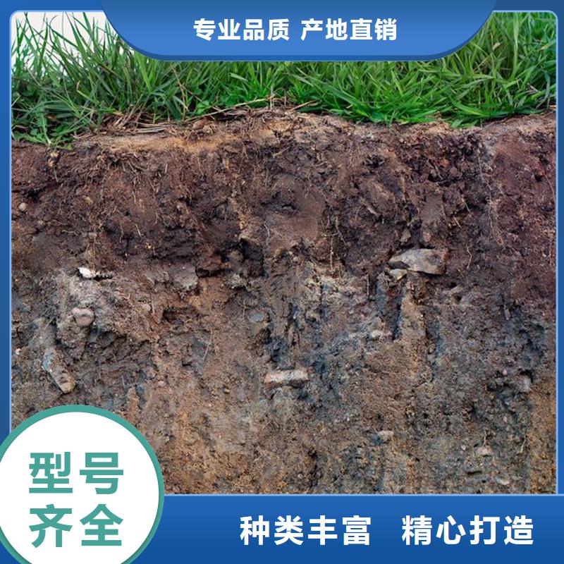 原生泰土壤固化剂实力批发厂家