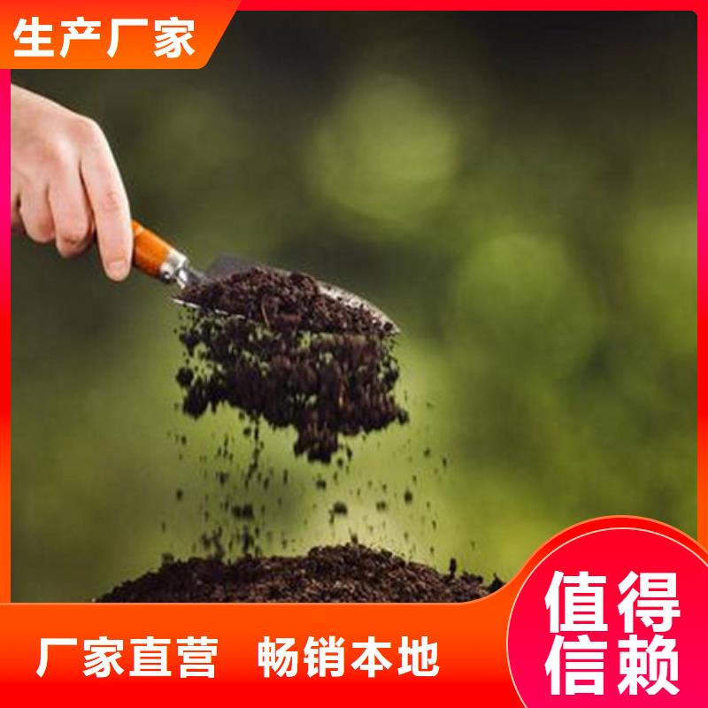 夯土墙保护剂批发东方市货源