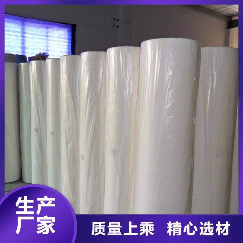 2025品质过硬#信泰源无纺布厂家#解决方案
