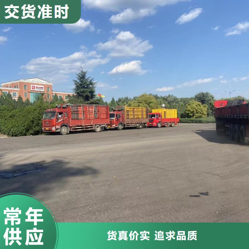 发电机出租租赁发电机电缆线出租备用电源出租应急发电机出租500kw发电机出租解决方案