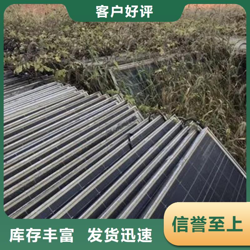 光伏板回收含铜污泥长期高价回收