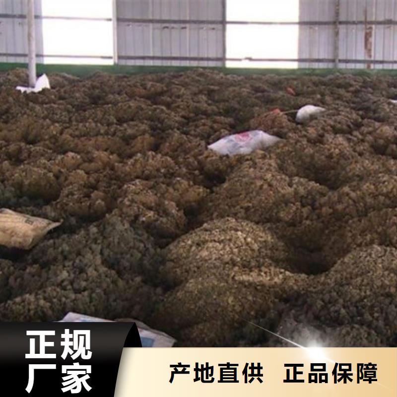 【含铜泥回收太阳能光伏组件口碑良好】