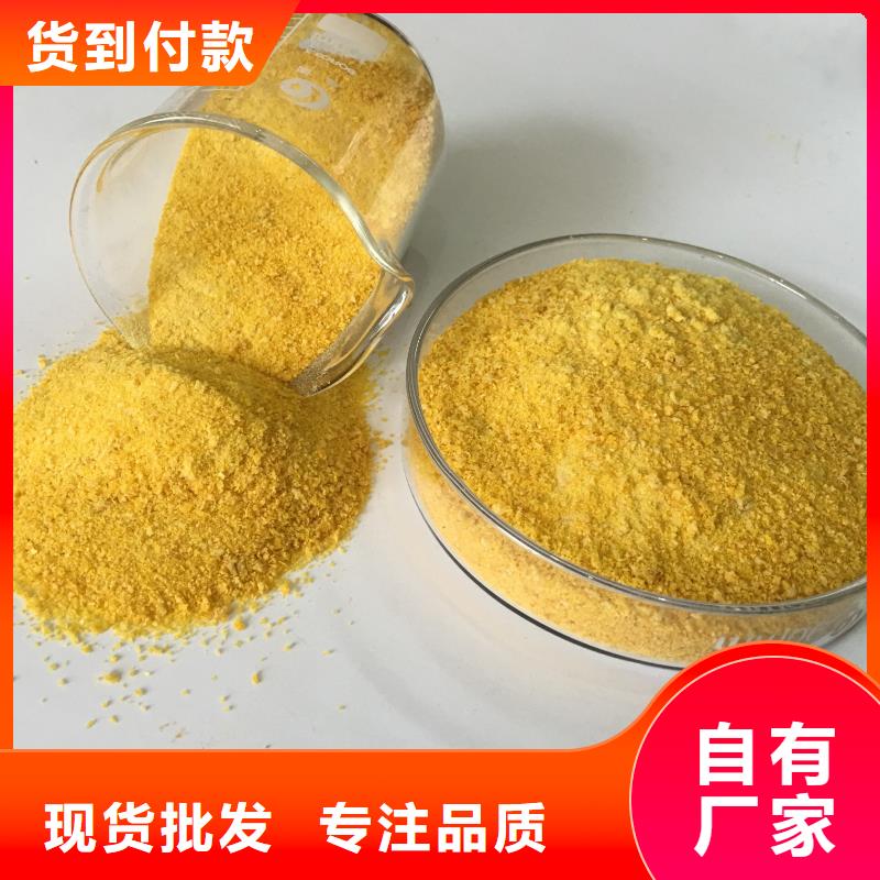 板框式聚合氯化铝来厂考察