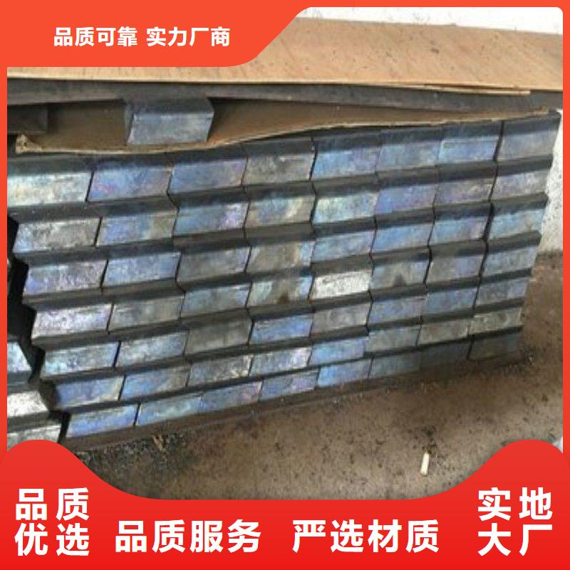 宠物医院防护门-专注研发