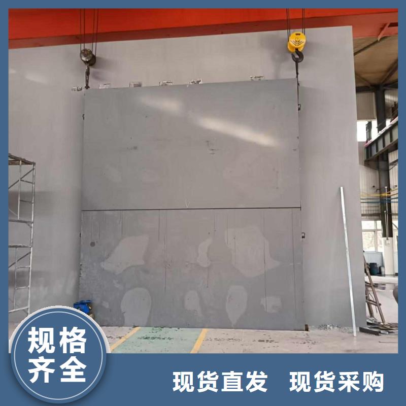 探伤室防护门多行业适用