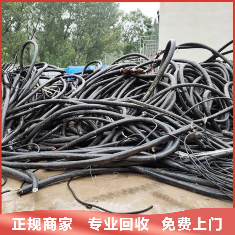 金港镇钨钢回收