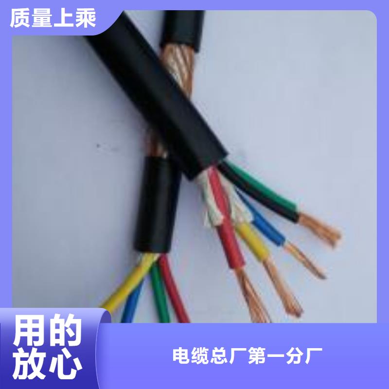 电线电缆PTYA23电缆懂您所需