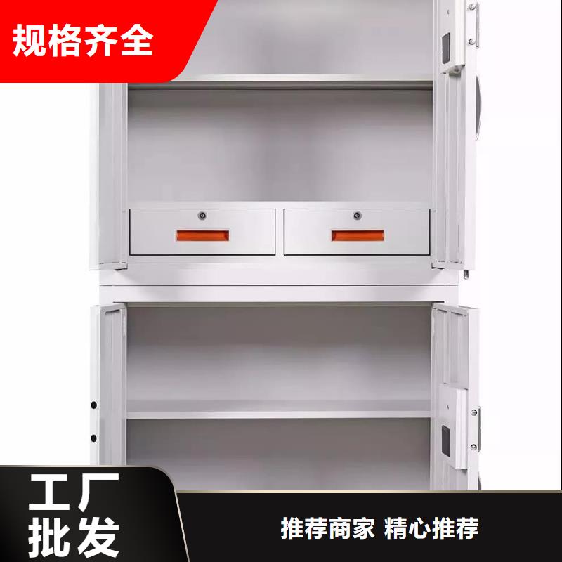 柜保密柜定制