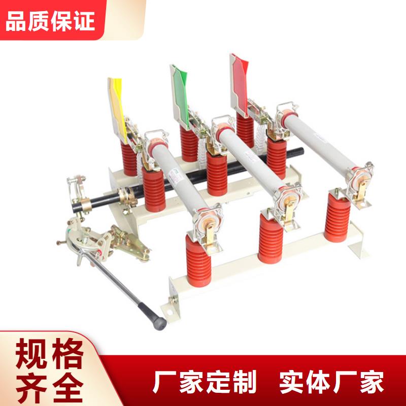 FLRN36-12D/T125-50熔断器-组合式六氟化硫负荷开关
