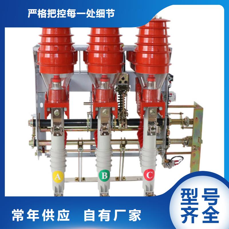 FLRN36-12D/T125-50熔断器-组合式六氟化硫负荷开关