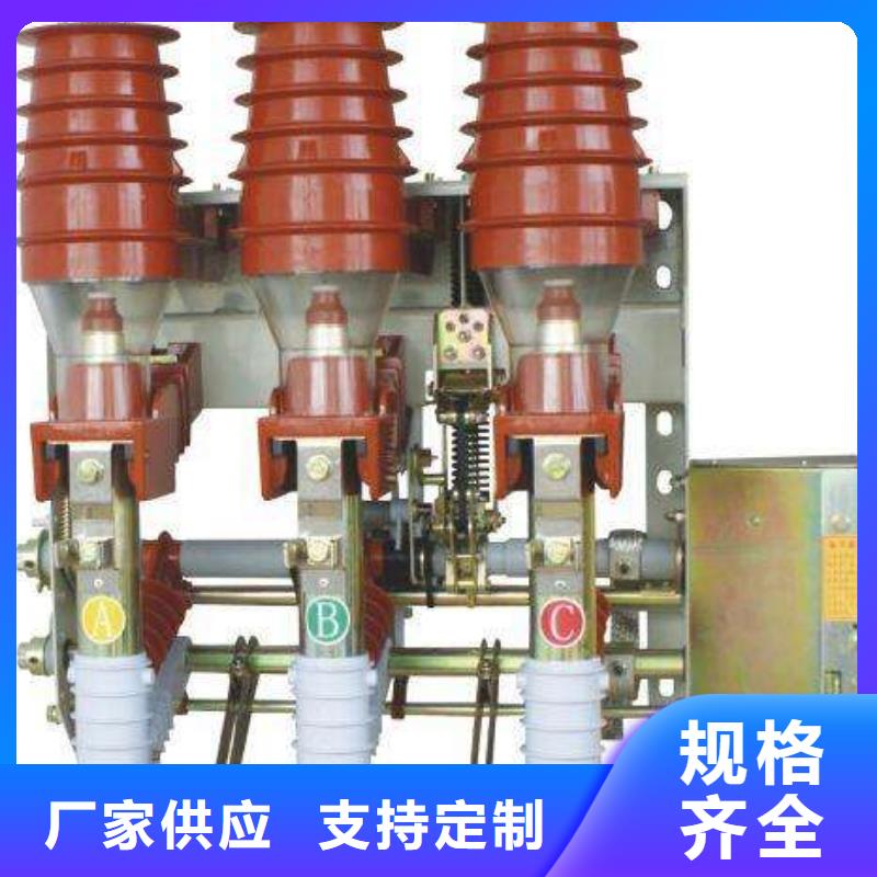 FZN25-12/630-20高压负荷开关
