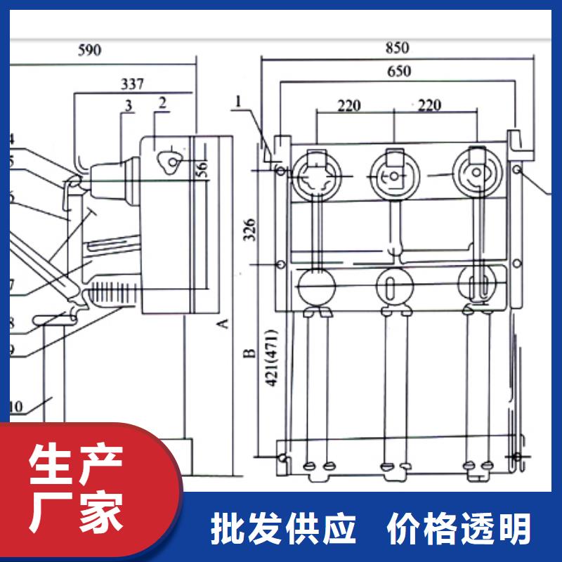 FLRN36-12D/T125-50熔断器-组合式六氟化硫负荷开关