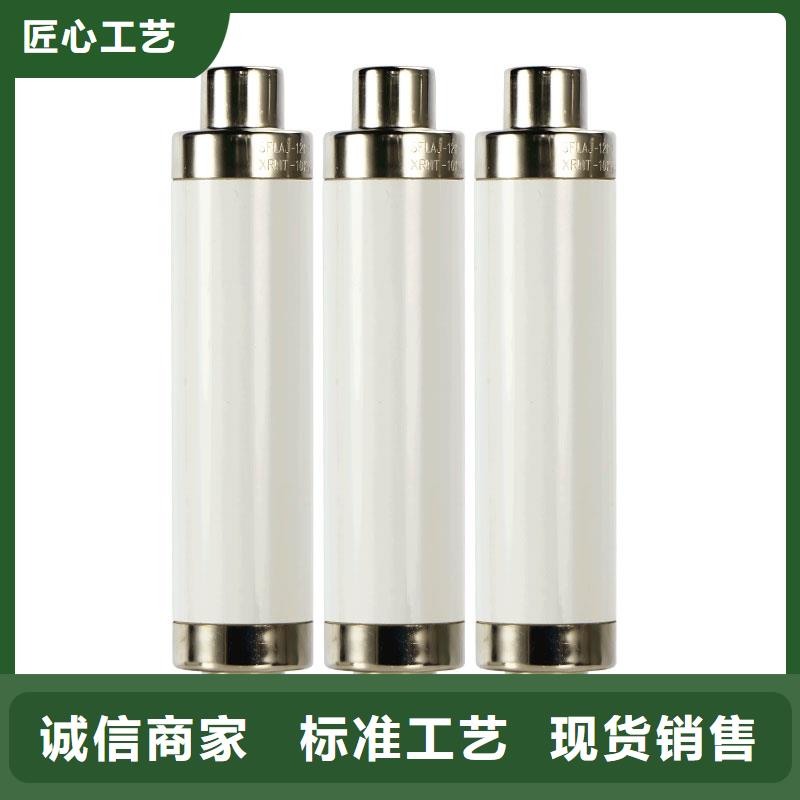 XRNT-12/50A熔管