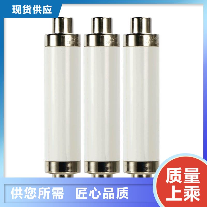 BRW2-10/80A双管限流熔断器