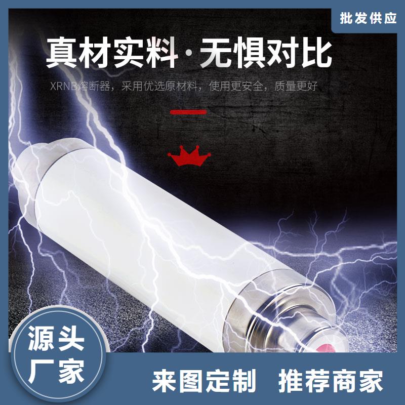 XRNT-12/20A限流熔断器