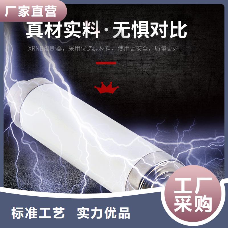 BR1-10/2A限流熔断管樊高