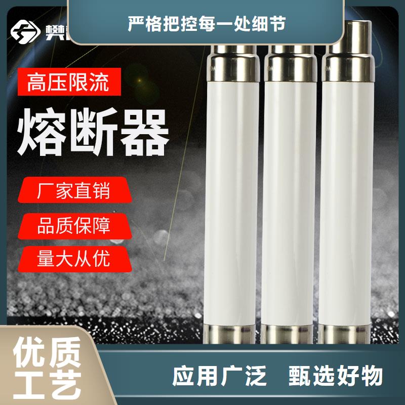 BR1-10/2A限流熔断管樊高