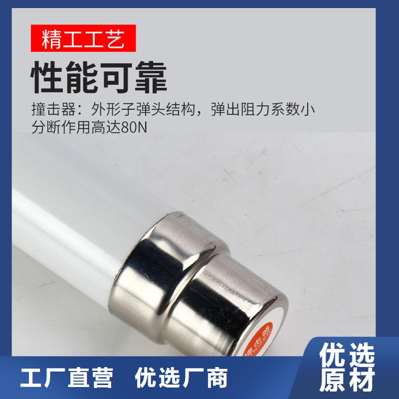 HRXWO-40.5/0.5A高压限流熔断器