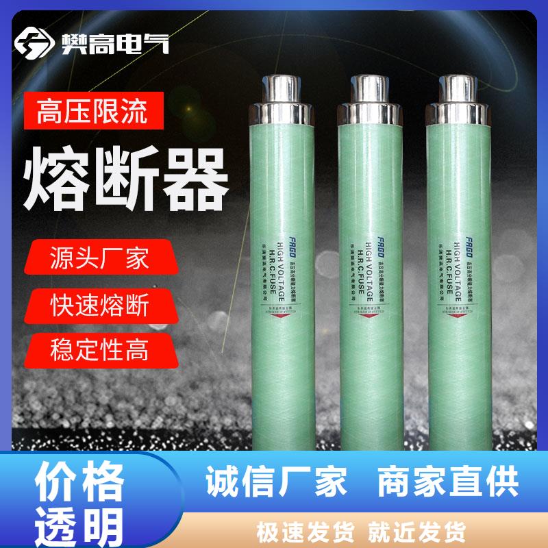 BR1-10/2A限流熔断管樊高