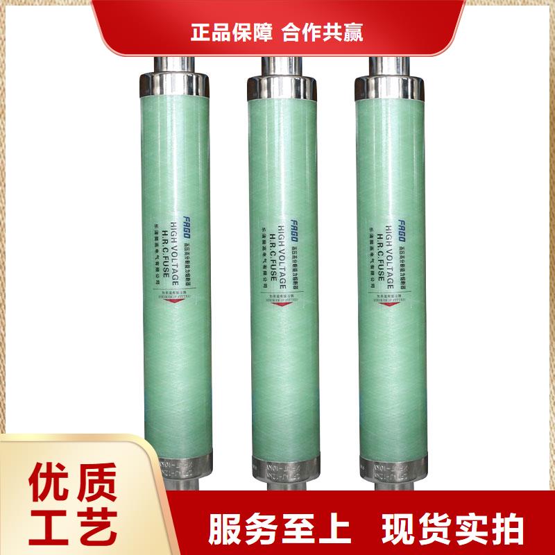 BR2-10/50A双管限流熔断器