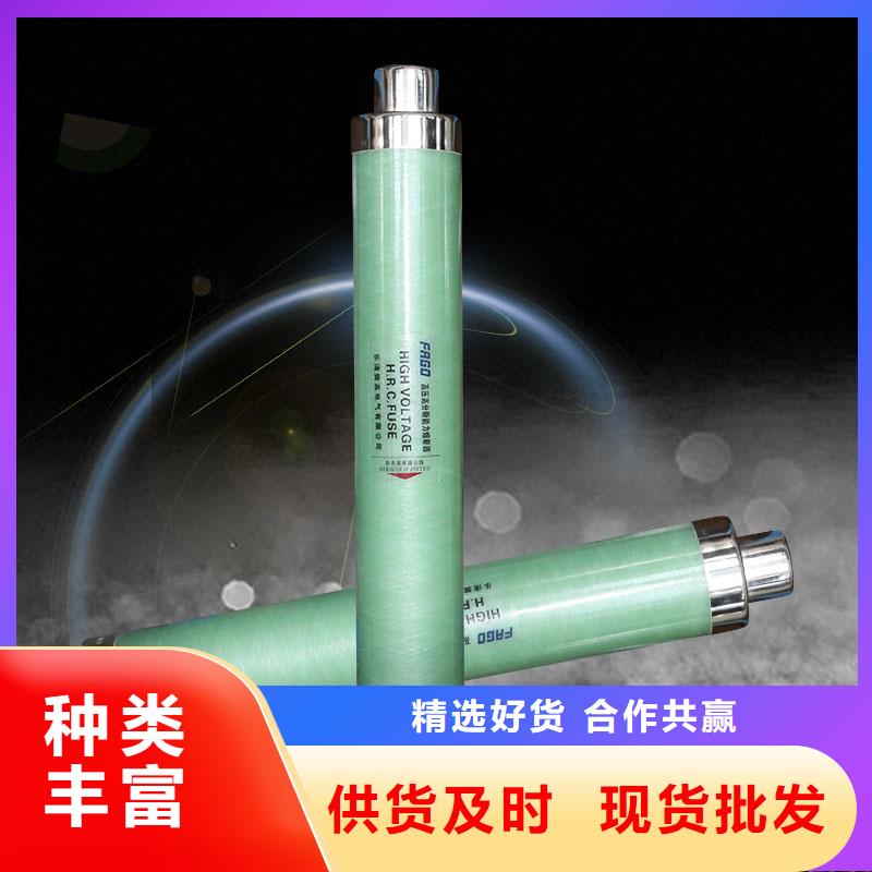 HRXWO-40.5/0.5A高压限流熔断器