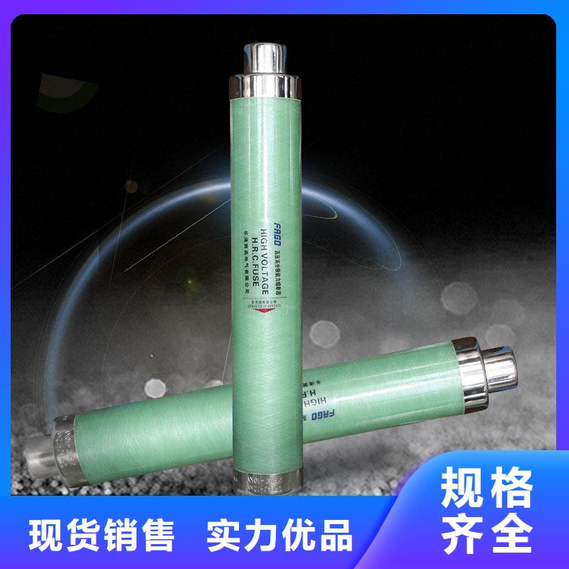 BRW2-10/2A限流熔断器樊高