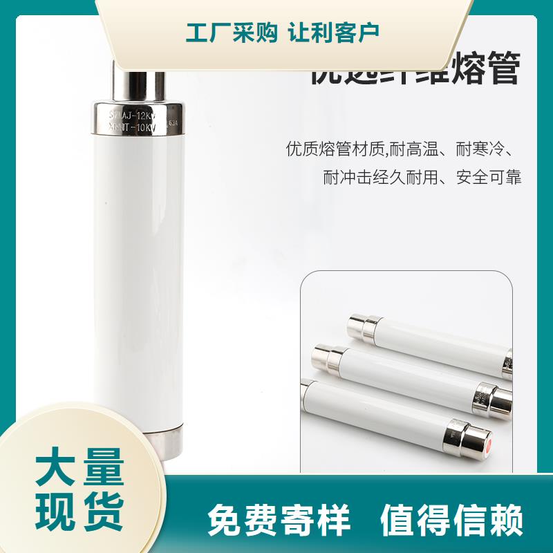 BRW2-10/2A双管限流熔断器