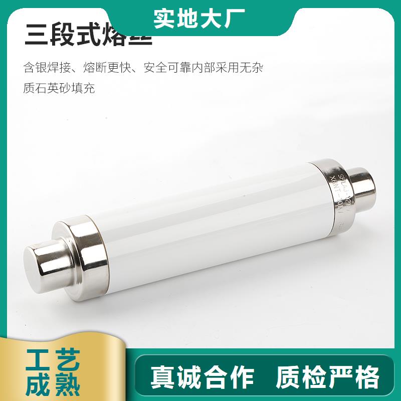 BR1-10/2A限流熔断管樊高
