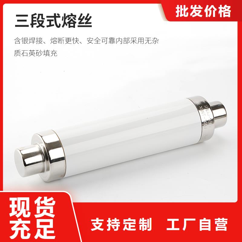 RN1-10/2单管高压熔断器