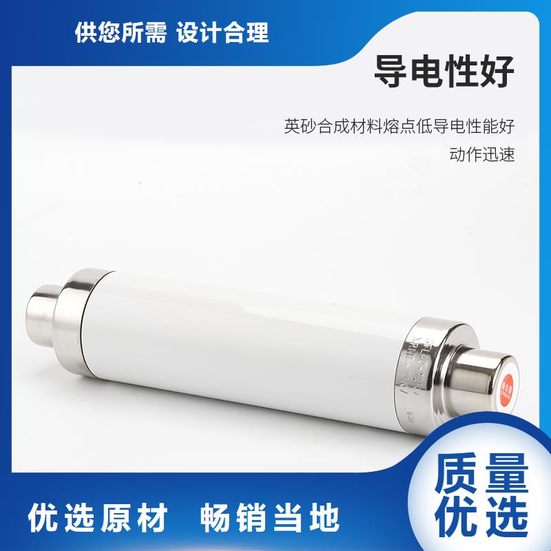 BR2-10/50A双管限流熔断器