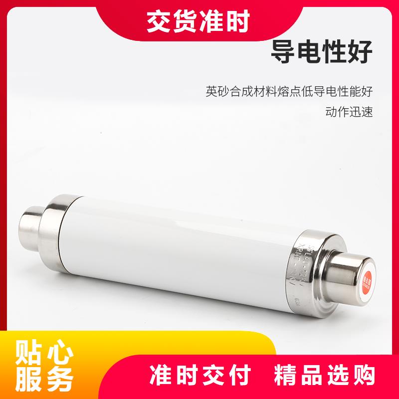 XRNP1-12/0.5A限流熔断器