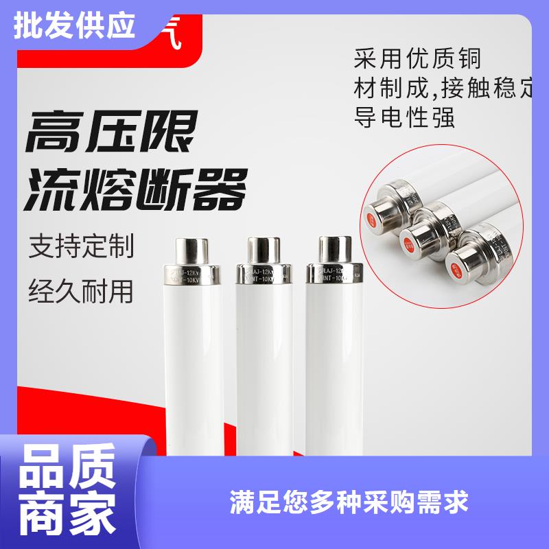 RN1-3/40单管高压熔断器