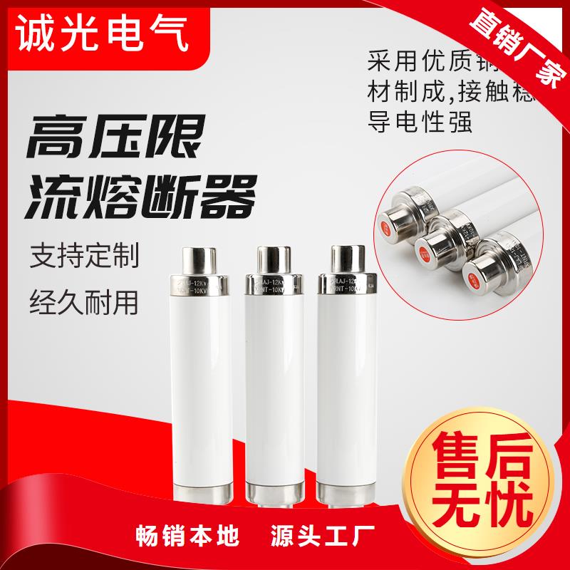 BRW2-10/80A双管限流熔断器