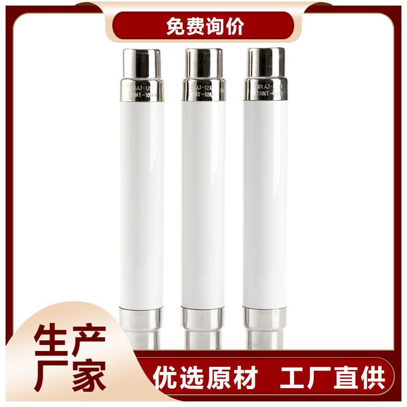 BR1-10/2A限流熔断管樊高