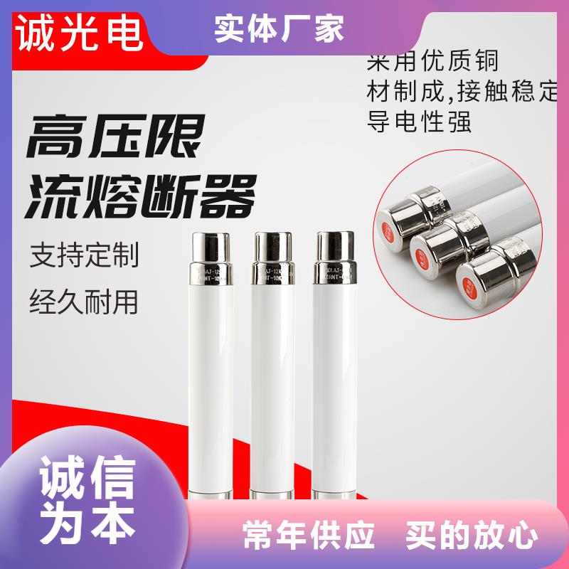 BRW2-10/80A双管限流熔断器