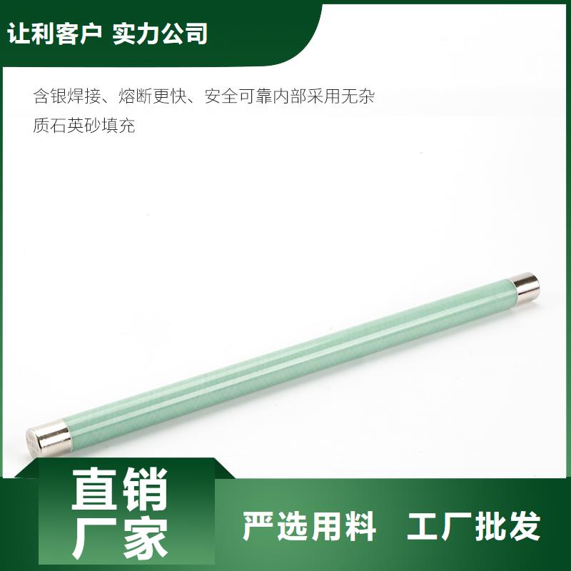 RN1-10/2单管高压熔断器
