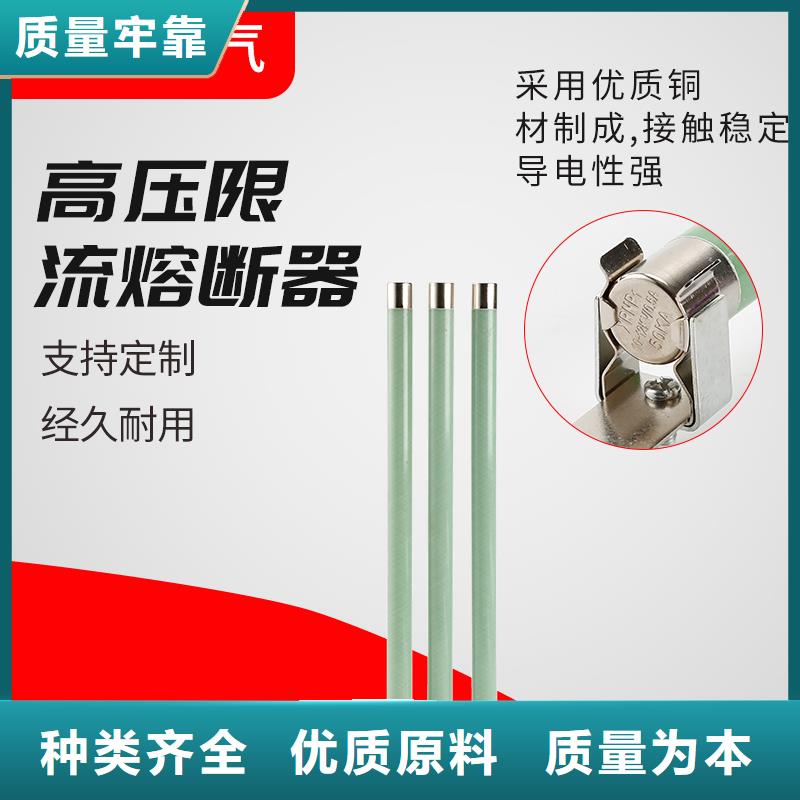 BR1-10/2A限流熔断管樊高
