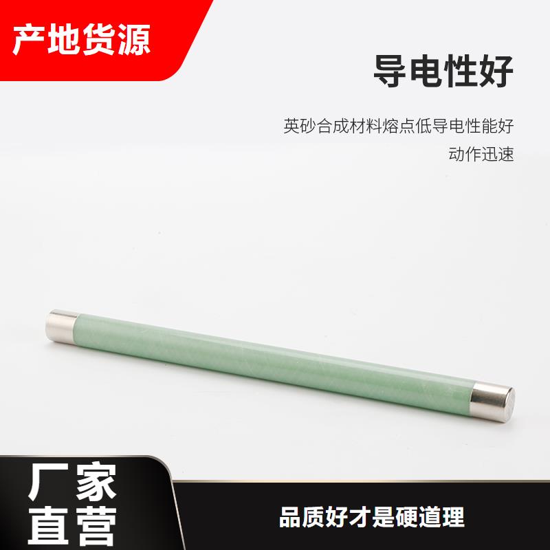 BRW2-10/2A双管限流熔断器