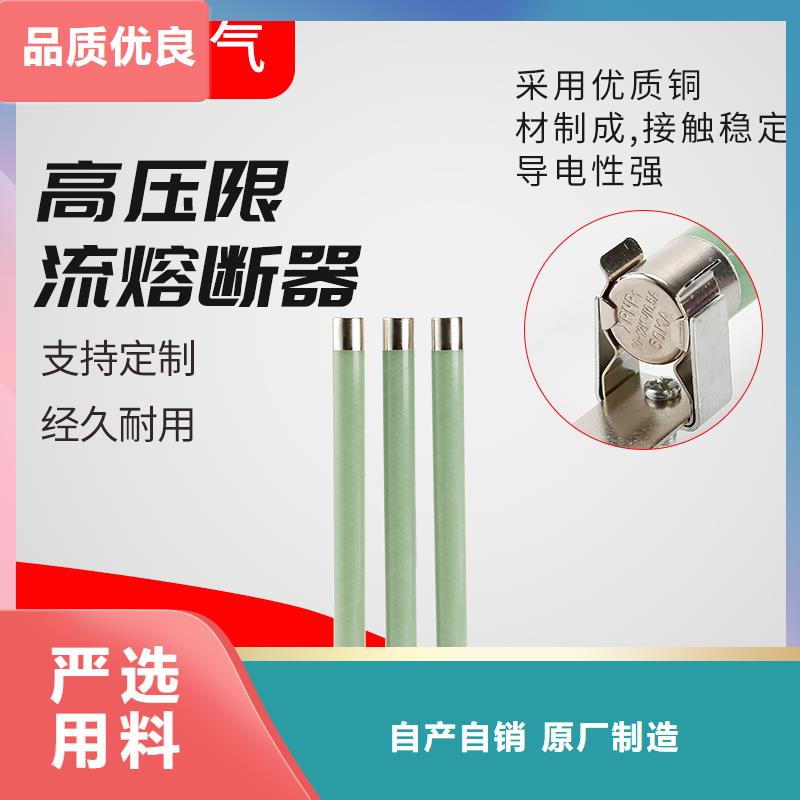 BR2-10/25A熔断器樊高