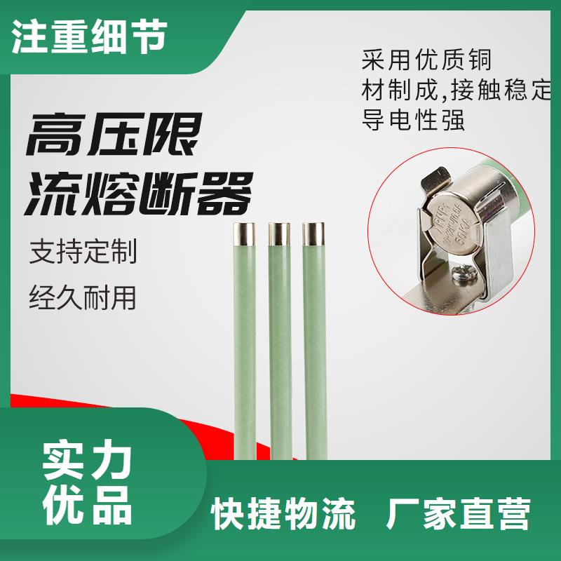 BR1-10/2A限流熔断管樊高