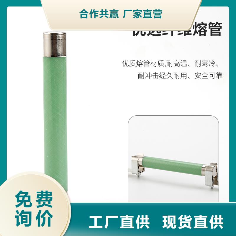 XRNP-12KV/0.2A变压器用熔断器
