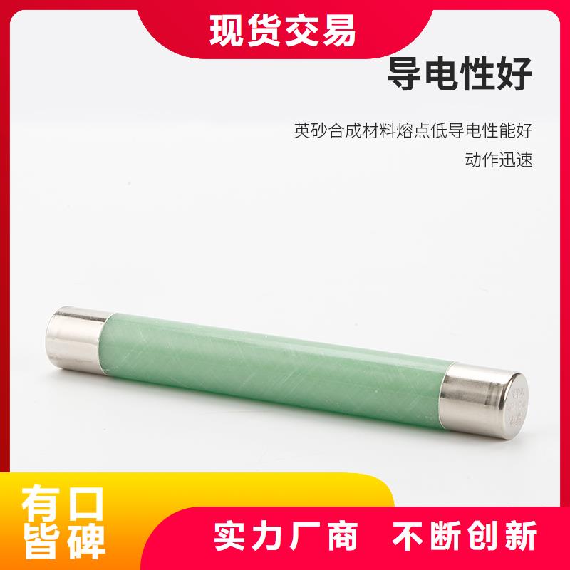 XRNM-10/160A高压限流熔断器