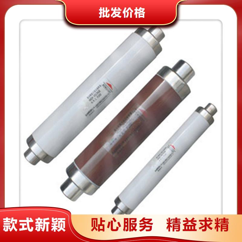 XRNM-10/160A高压限流熔断器