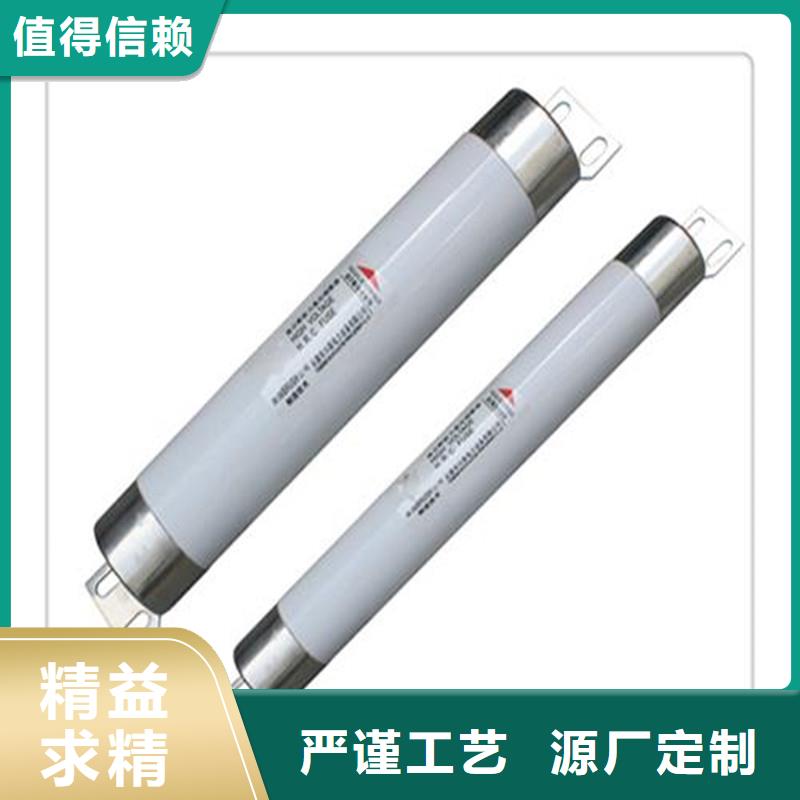 XRNT-40.5/25A高压PT熔管