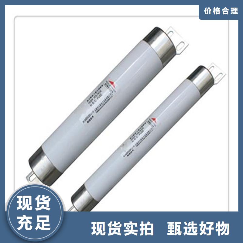 BR2-10/50A双管限流熔断器