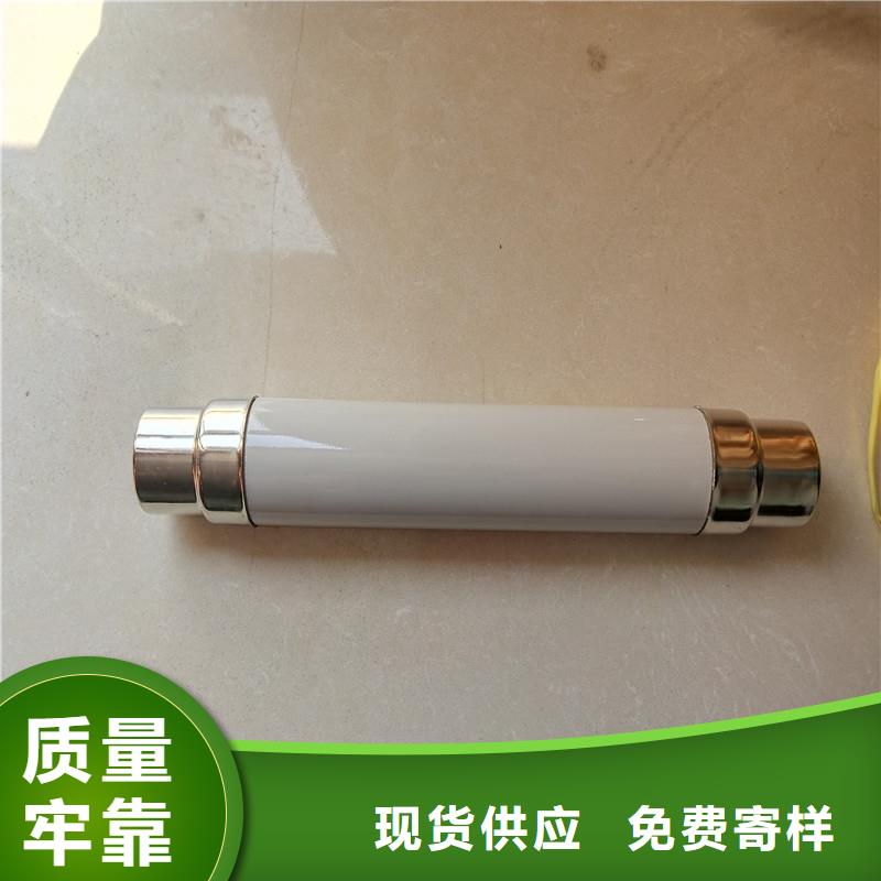 XRNP1-3.6KV/2A高压限流熔断器