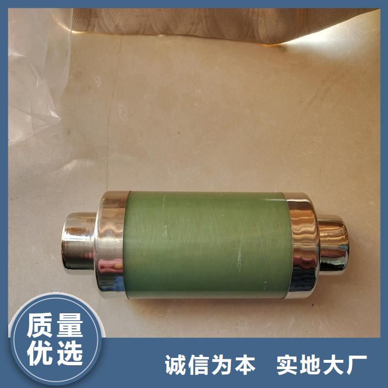HRXWO-40.5/0.5A高压限流熔断器